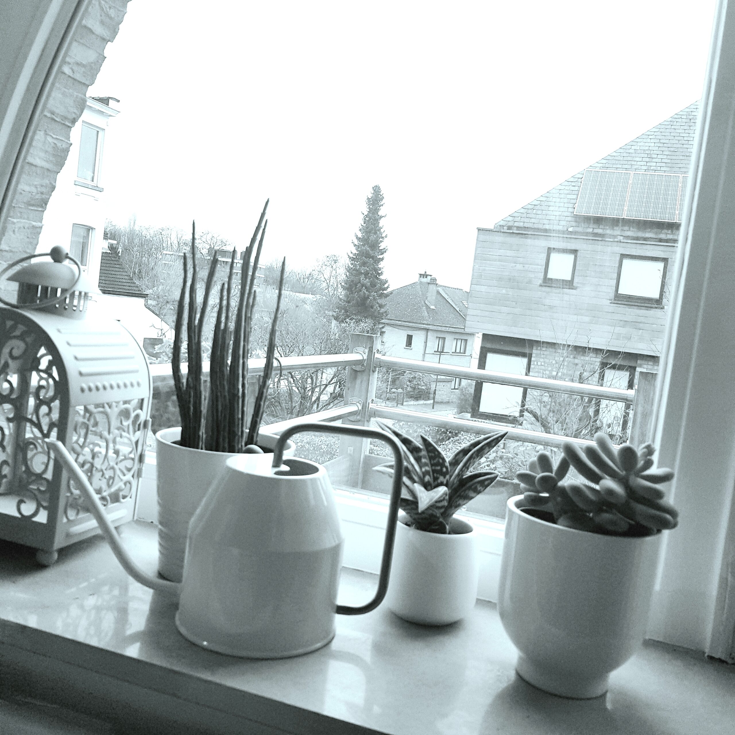 ambience_cabinet_privé_soins_esthetiques